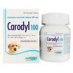 カロディル（カロダイル）　Carodyl100、カルプロフェンチュアブル錠100mg
